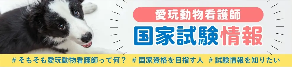 愛玩動物看護師国家資格情報 #そもそも愛玩動物看護師って何?
