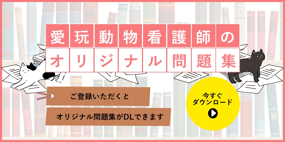 愛玩動物看護師オリジナル問題集ダウンロード