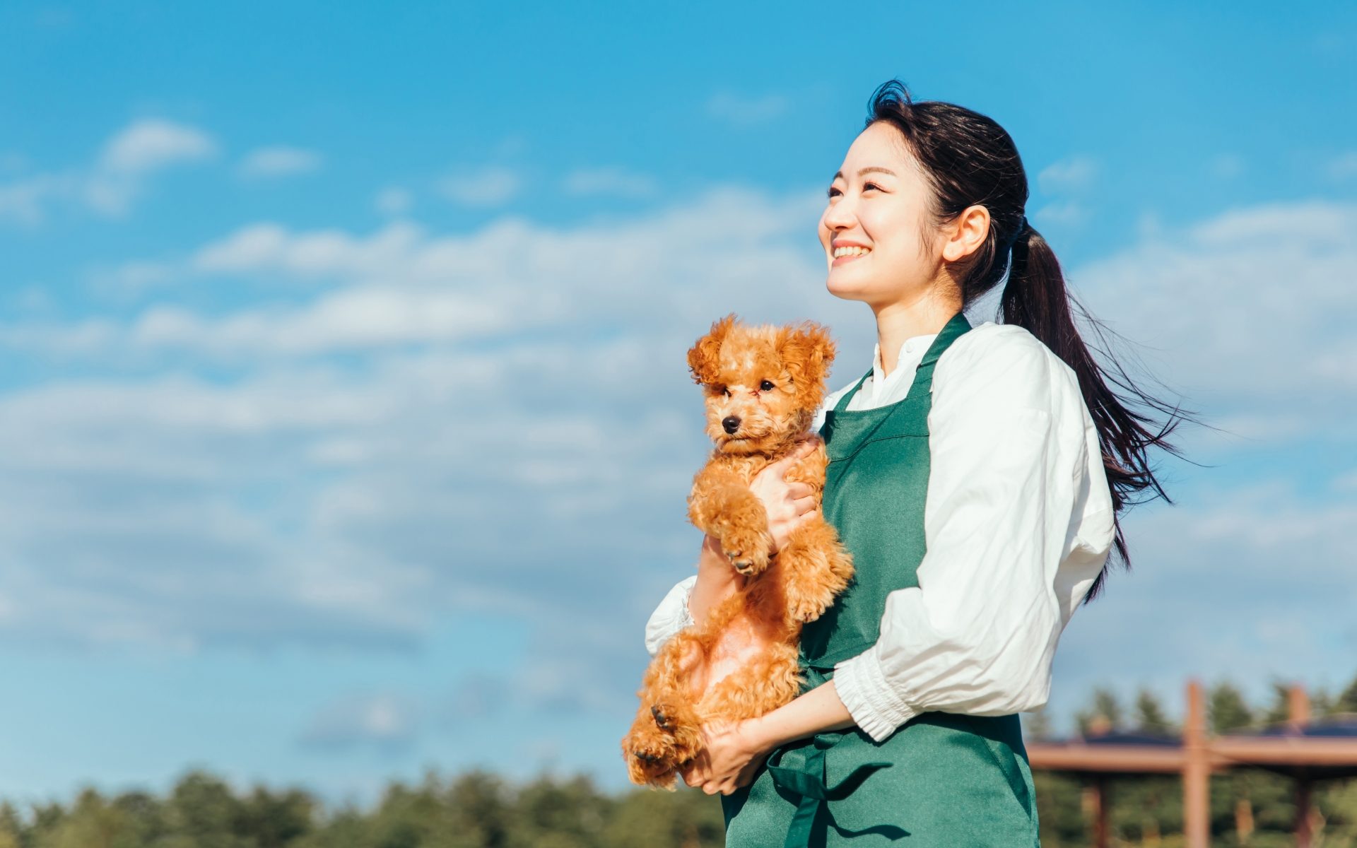 愛玩動物看護師とは？仕事内容や就職先、平均年収をご紹介