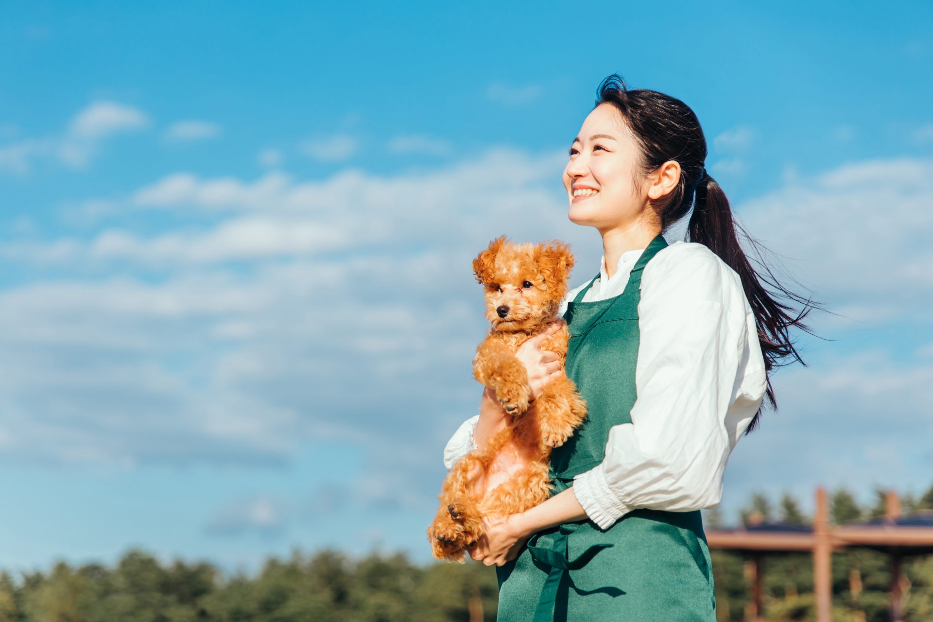 愛玩動物看護師とは？仕事内容や就職先、平均年収をご紹介