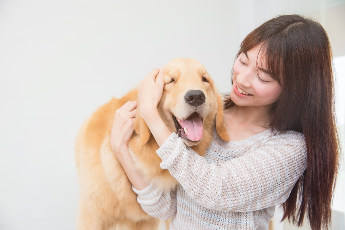 保護犬の健康と幸せを保つためのケア方法