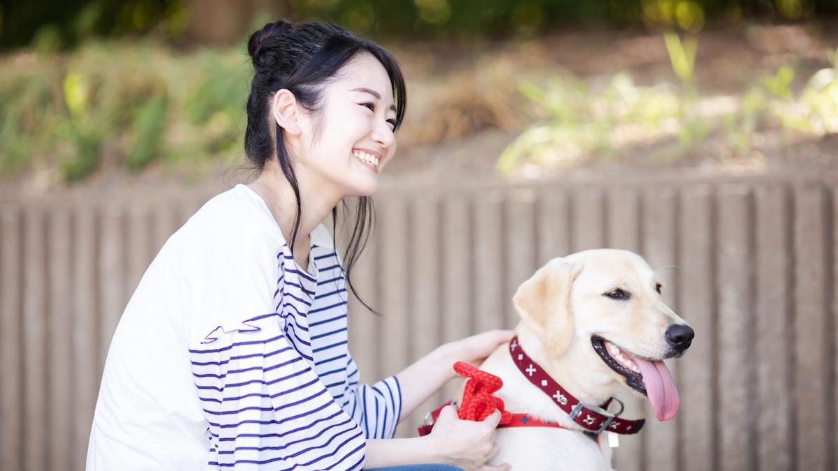 愛玩動物看護師に向いている人の特徴