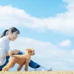 愛玩動物飼養管理士とは？取得するメリットや勤め先の職場例、試験概要を解説