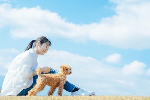 愛玩動物飼養管理士とは？取得するメリットや勤め先の職場例、試験概要を解説