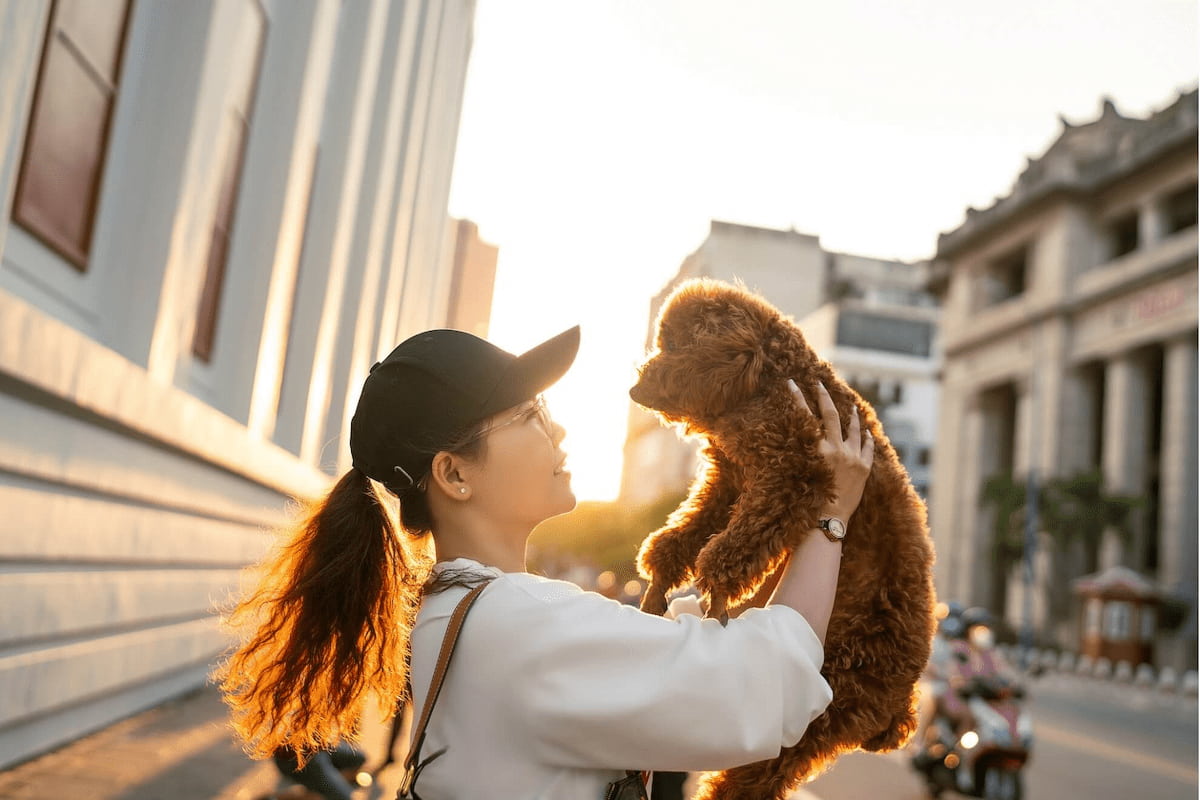 資格なしで動物看護師として働ける？業務内容やおすすめの民間資格をご紹介