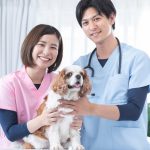 動物病院の受付の仕事内容は？未経験でもできる？きついと言われることも解説