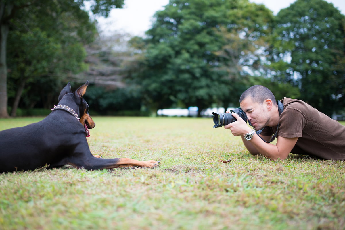 犬に関わる仕事で高収入が期待できる職種8選