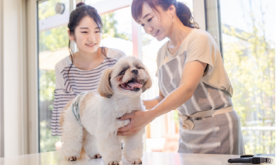 ペットショップ・サロン