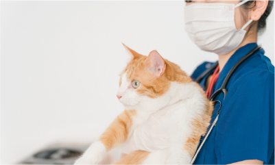 愛玩動物看護業務あり