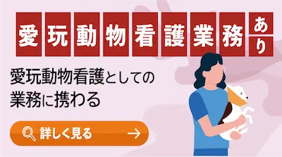 愛玩動物看護業務あり