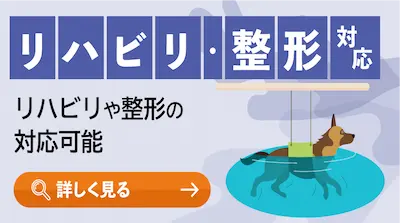 リハビリ・整形対応