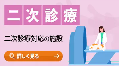 二次診療
