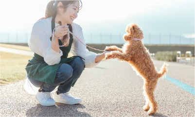 愛犬同伴出勤可